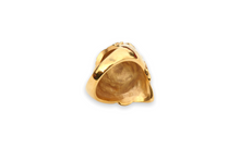 Load image into Gallery viewer, Lion ring