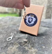 Load image into Gallery viewer, The Ivy Earrings
