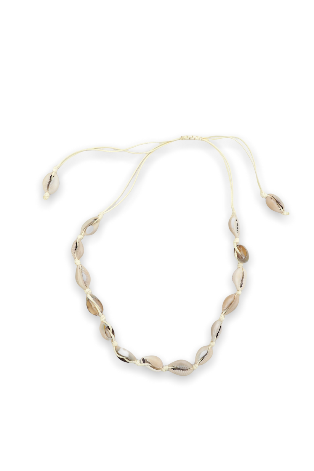 Cowrie shell choker necklace